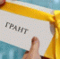 Конкурс о распределении грантов в форме субсидий СОНКО - Рамонский район