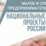 Итоги реализации в 2024 году нацпроекта «Малое и среднее предпринимательство», инициированного Президентом РФ. - Рамонский район