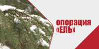«Операция «Ель». - Рамонский район
