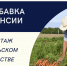Отделение СФР по Воронежской области выплачивает повышенную пенсию за работу в сельском хозяйстве 23 120 жителям региона. - Рамонский район