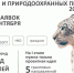  Министерство природных ресурсов и экологии Воронежской области информирует о проведении отбора получателей грантов в форме субсидий на реализацию проектов в области охраны окружающей среды в 2025 году с помощью Портала предоставления мер финансовой подде. - Рамонский район