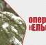 Согласно приказу Министерства природных ресурсов и экологии Воронежской области № 514 от 09.12.2025, с целью экологического просвещения населения, привлечения внимания жителей Воронежской области к вопросу сохранения зеленых насаждений. - Рамонский район
